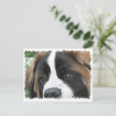 Carte postale St Bernard Puppies (Debout devant)