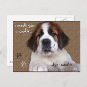 Carte Postale St Bernard Puppy Cookie (Devant / Derrière)