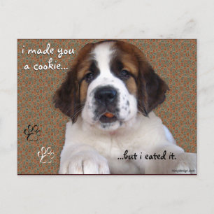 Carte Postale St Bernard Puppy Cookie