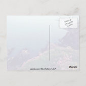 Carte Postale St David's Head, Pointe la plus à l'Ouest du Pays  (Dos)