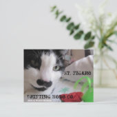 Carte postale St. Figaro (Debout devant)