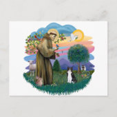 Carte Postale St Francis (ff) - chat noir et blanc (Devant)