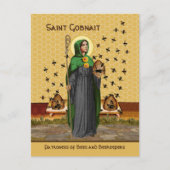 Carte postale St. Gobnait de Ballyvourney (SAE 003 (Devant)