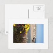 Carte Postale St Ives (Devant / Derrière)