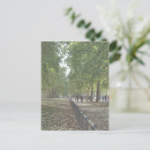 Carte Postale St Jame's Park (Debout devant)