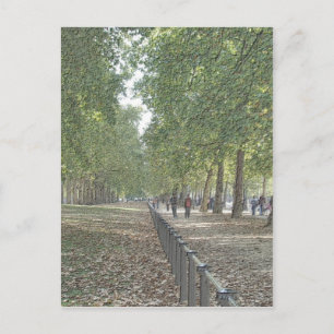 Carte Postale St Jame's Park
