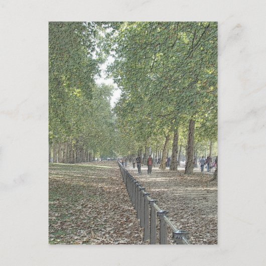 Carte Postale St Jame's Park (Devant)