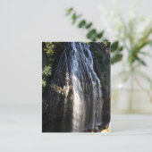 Carte Postale St. John - Cascade de la baie Reef (Debout devant)