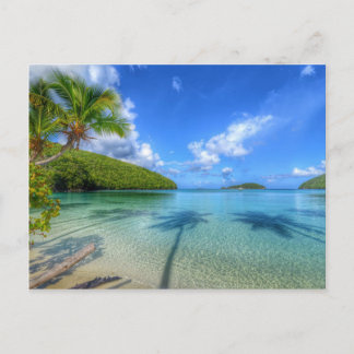 Carte Postale St John USVI Island Life