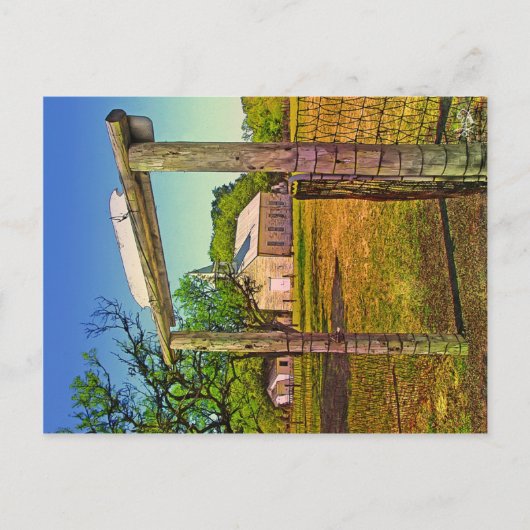 Carte Postale St. John's Lutheran Church, Crabapple, TX (Devant)