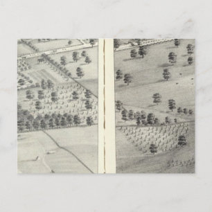 Carte Postale St. Louis, Missouri 24