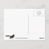 Carte Postale St. Mary Falls II au parc national des Glaciers (Dos)