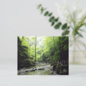 Carte Postale St Nectans Glen Cornwall Photographie (Debout devant)