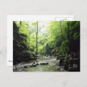 Carte Postale St Nectans Glen Cornwall Photographie (Devant / Derrière)