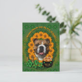 Carte Postale St patrick - Pot d'or - Bulldog (Debout devant)