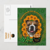 Carte Postale St patrick - Pot d'or - Bulldog (Devant / Derrière)