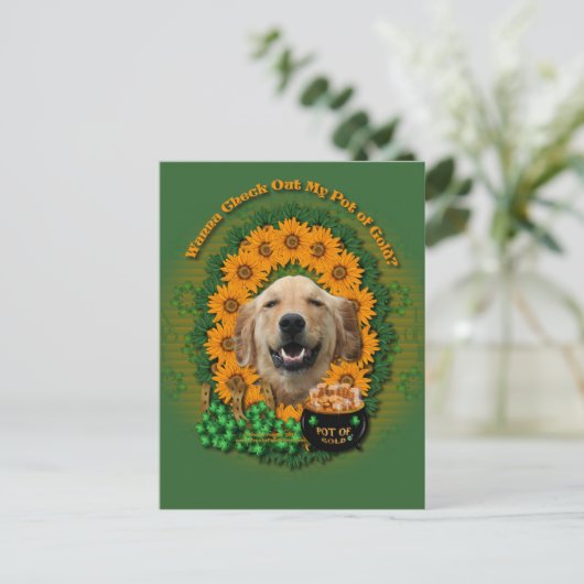 Carte Postale St patrick - Pot d'or - Golden Retriever Mickey (Debout devant)