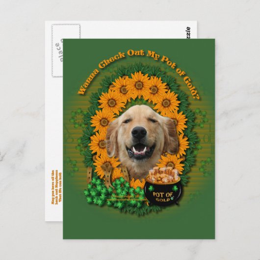 Carte Postale St patrick - Pot d'or - Golden Retriever Mickey (Devant / Derrière)