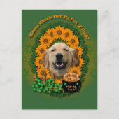 Carte Postale St patrick - Pot d'or - Golden Retriever Mickey (Devant)