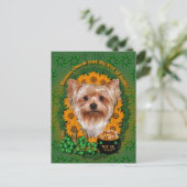 Carte Postale St patrick - Pot d'or - Yorkshire Terrier (Debout devant)