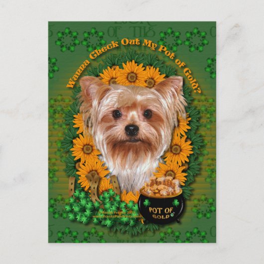 Carte Postale St patrick - Pot d'or - Yorkshire Terrier (Devant)