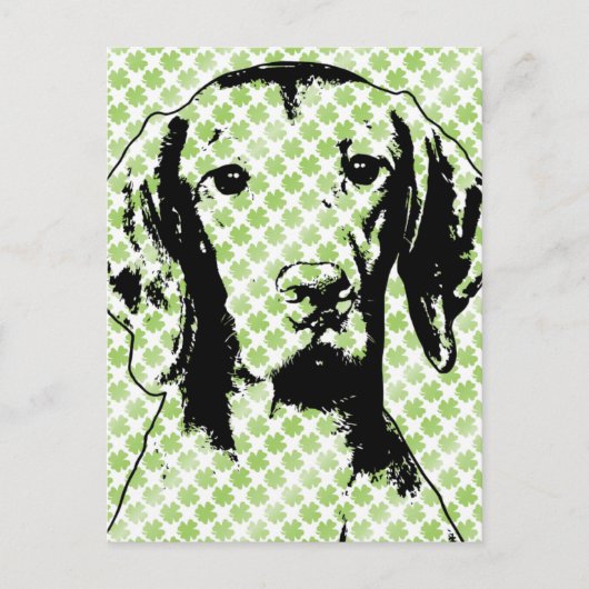 Carte Postale St patrick - Vizsla Silhouette - Reagan (Devant)