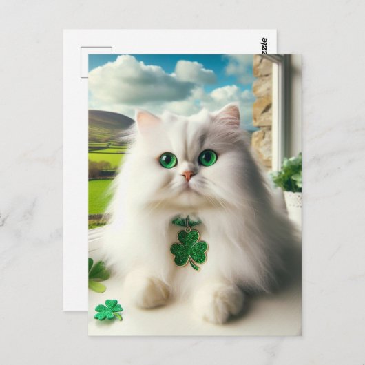 Carte Postale St. Patricks Day Chat Fluffy Blanc Chat Yeux verts (Devant / Derrière)