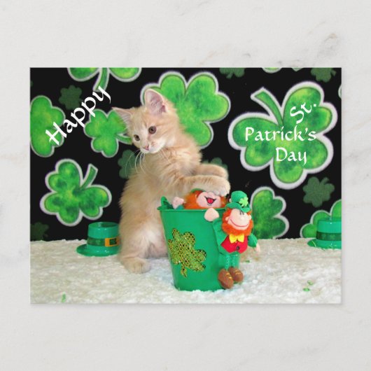 Carte postale St. Patrick's Day de Buffington - Ch (Devant)