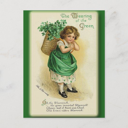 Carte Postale St Patrick's Day Greeting Cards and Postcards (Devant)