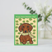 Carte Postale St.Patty Doxie   (Debout devant)