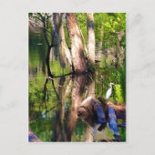 Carte Postale St. Simons Island, GA Lagoon et Egret Postcard (Devant)