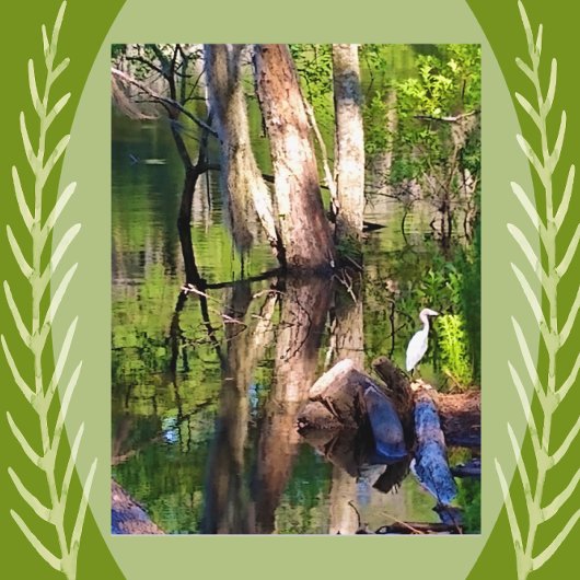 Carte Postale St. Simons Island, GA Lagoon et Egret Postcard