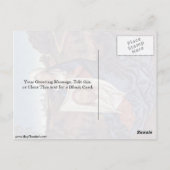 Carte Postale St. Veronica Par Hans Memling (Dos)