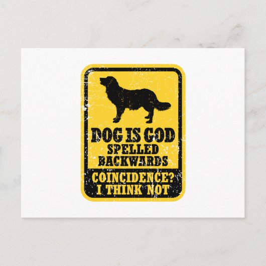 Carte Postale Stabyhoun (Devant)