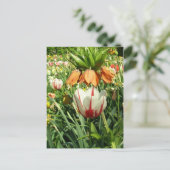 Carte Postale Stacey's Floral Design (Debout devant)