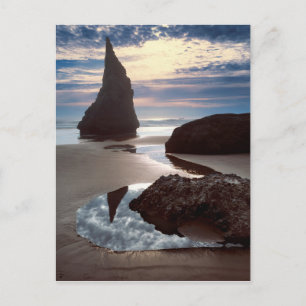 Carte Postale Stack marin en forme d'épine Face Rock Wayside,