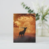 Carte Postale Stade au coucher du soleil (Debout devant)