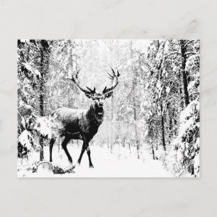 Carte Postale Stade Deer Forêt d'hiver Faune Animal Nature Art