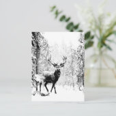Carte Postale Stade Deer Forêt d'hiver Faune Animal Nature Art (Debout devant)
