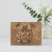 Carte Postale Staffordshire Bull Terrier (Debout devant)