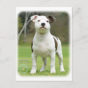 Carte Postale Staffordshire Bull Terrier