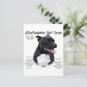 Carte Postale Staffordshire Bull Terrier Histoire (Debout devant)