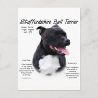 Staffordshire Bull Terrier Histoire
