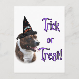 Carte Postale Staffordshire Bull Terrier Trick