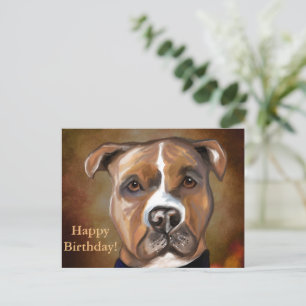 CARTE POSTALE STAFFORDSHIRE TERRIER AMÉRICAIN 