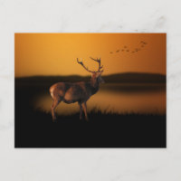 Stag Sunrise Misty Morning Deer