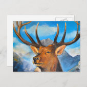 Carte Postale Stags Respire. (Devant / Derrière)