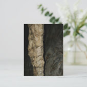 Carte Postale Stalactite Carlsbad (Debout devant)