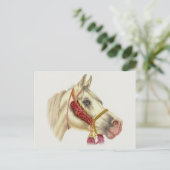 Carte Postale Stallion arabe (Debout devant)