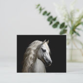Carte Postale Stallion blanc andalou (Debout devant)